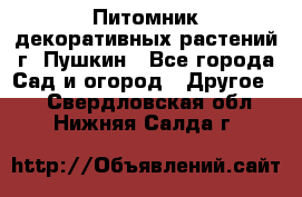 Питомник декоративных растений г. Пушкин - Все города Сад и огород » Другое   . Свердловская обл.,Нижняя Салда г.